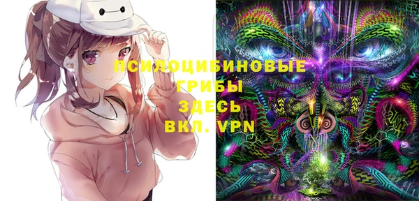 эйфоретик Карпинск