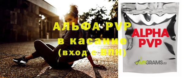 эйфоретик Карпинск